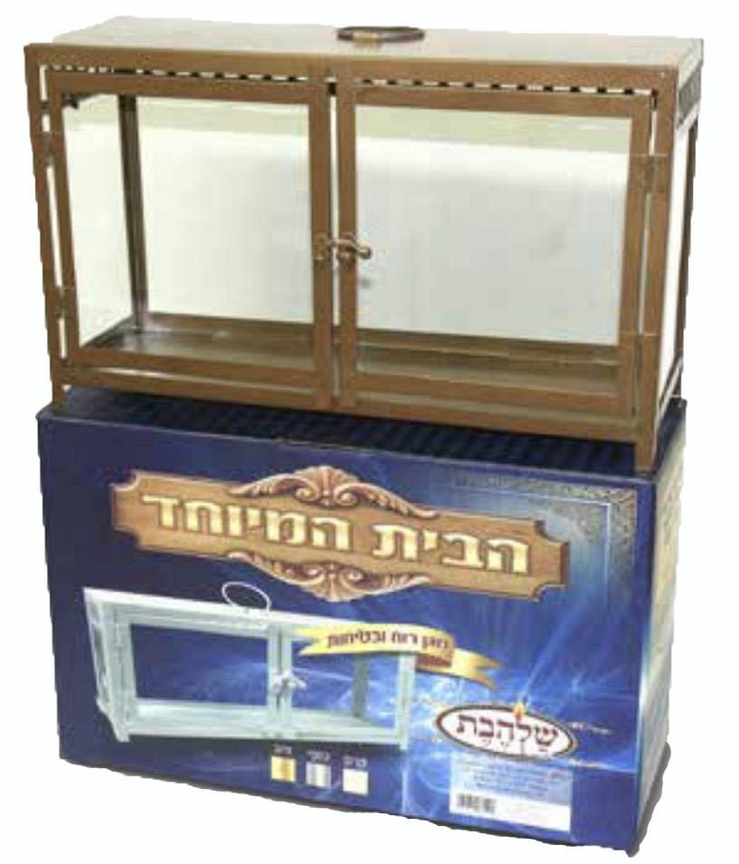 הבית המיוחד